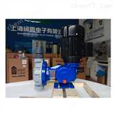 机械隔膜加药泵